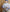 ネオノスタルジック お財布ショルダーバッグ