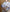 ネオノスタルジック お財布ショルダーバッグ