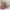 ふわふわフェイクファー ドロストショルダーバッグ
