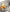 マルチポケット レギュラーサイズ トートバッグ