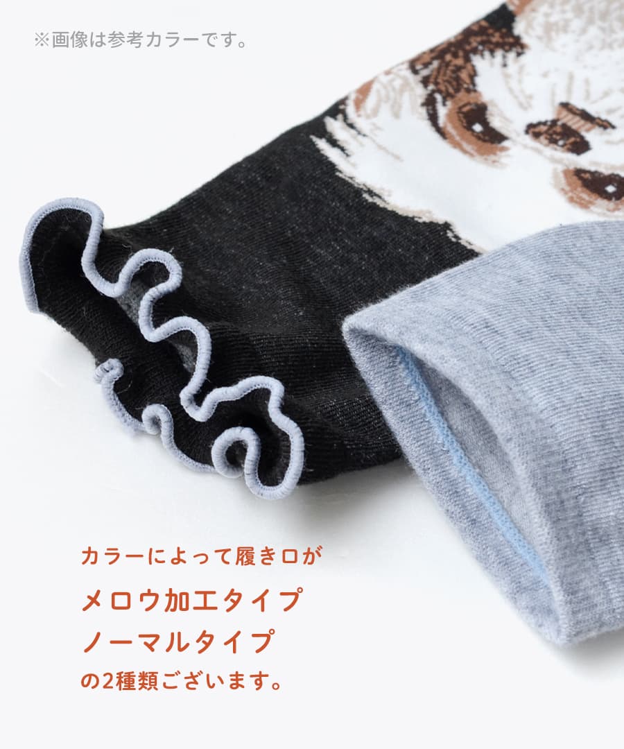 アニマル柄ショートソックス
