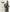裏起毛カットソー［タートルネック］