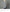 プレーティング天竺 ラウンドテールヘムチュニック