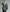 撥水加工&花粉リリース マウンテンパーカー