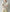 フレンチバスクシャツ［ボーダー］