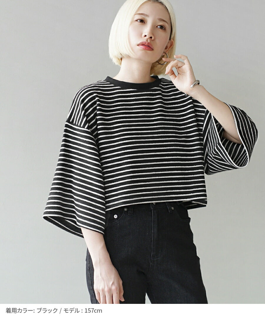 パイルボーダー クロップドTEE