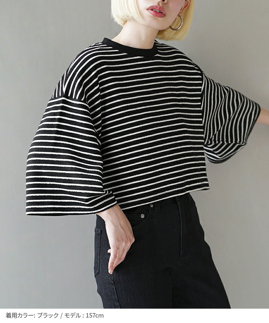 パイルボーダー クロップドTEE