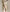 DAILY UTILITY ラッシュガード［ショートパンツ］