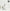 zootie（ズーティー）セルフラッピングキット［プチギフト用］